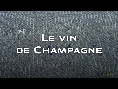 découvrez le voltis, le nouveau venu qui révolutionne le monde du champagne !