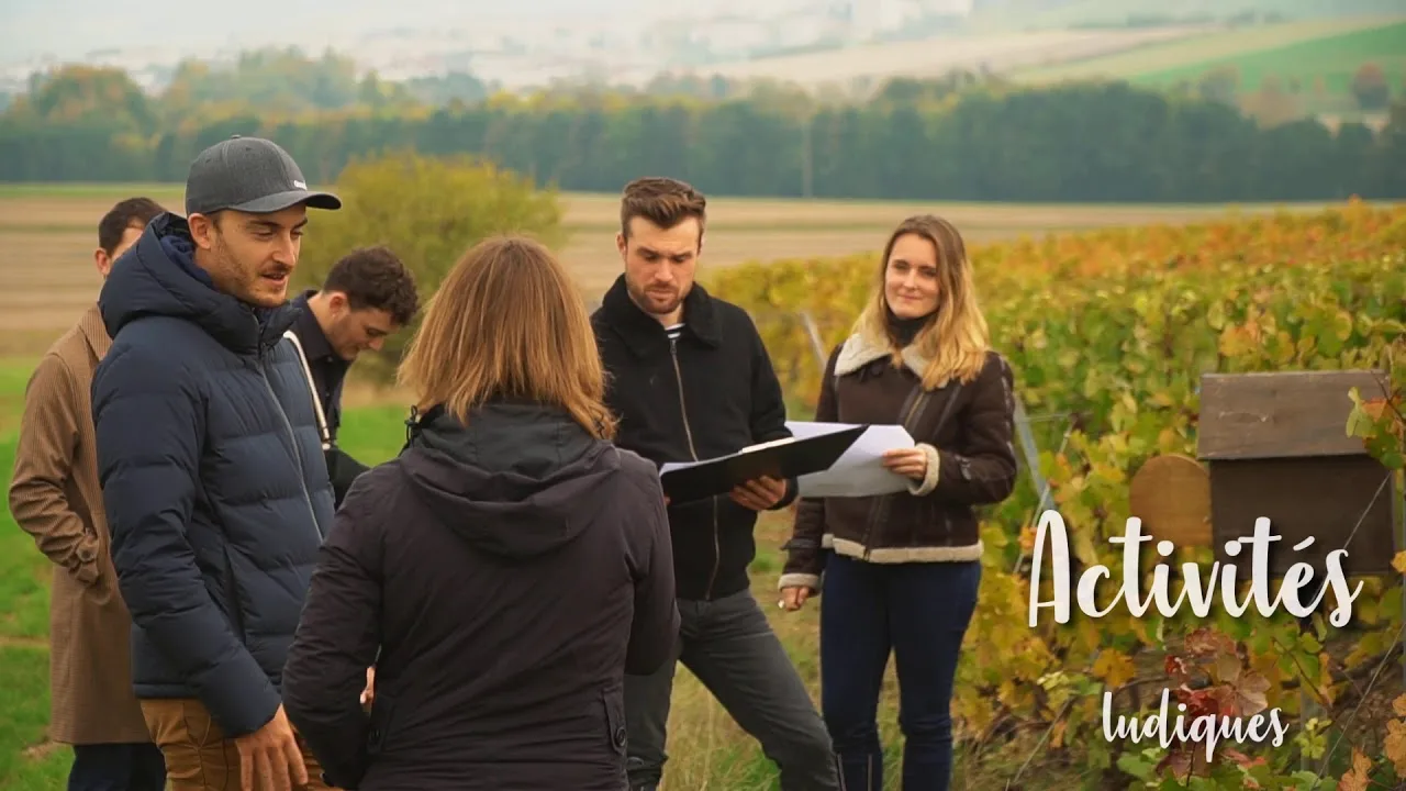 mystère du champagne: 47 expériences inoubliables au week end vignobles & découvertes!