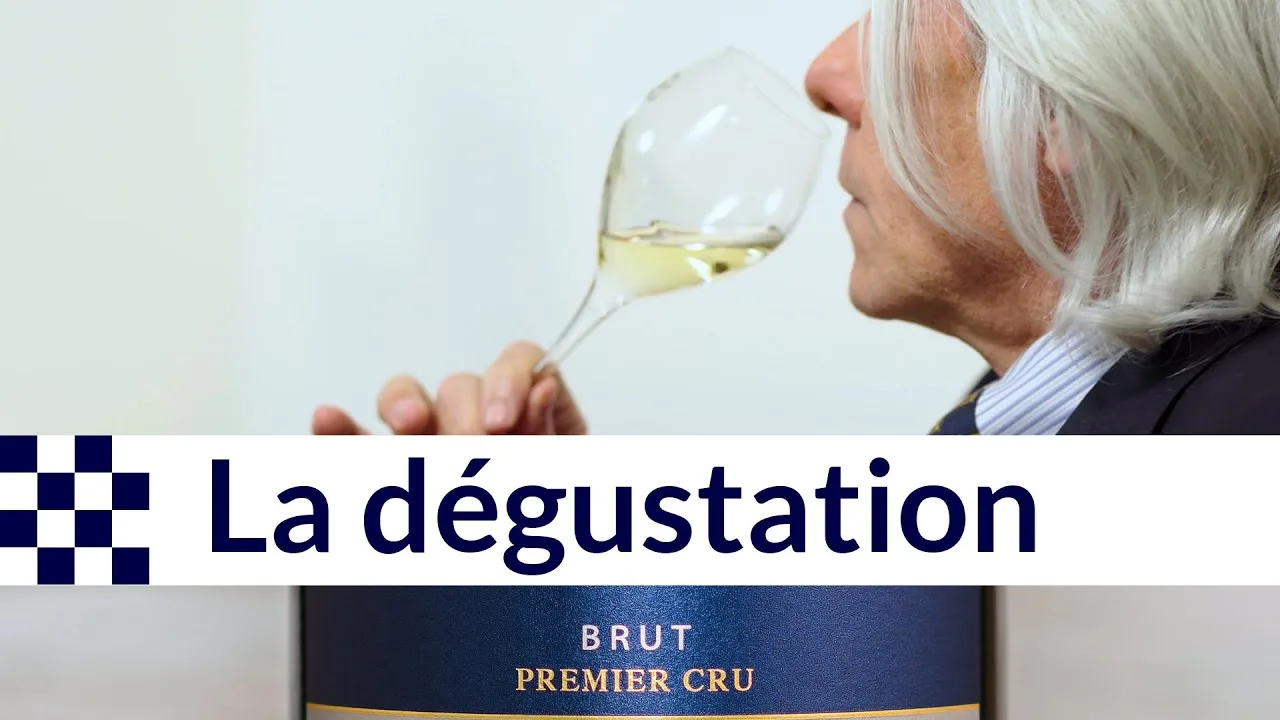 l’art de la dégustation du champagne : conseils et astuces