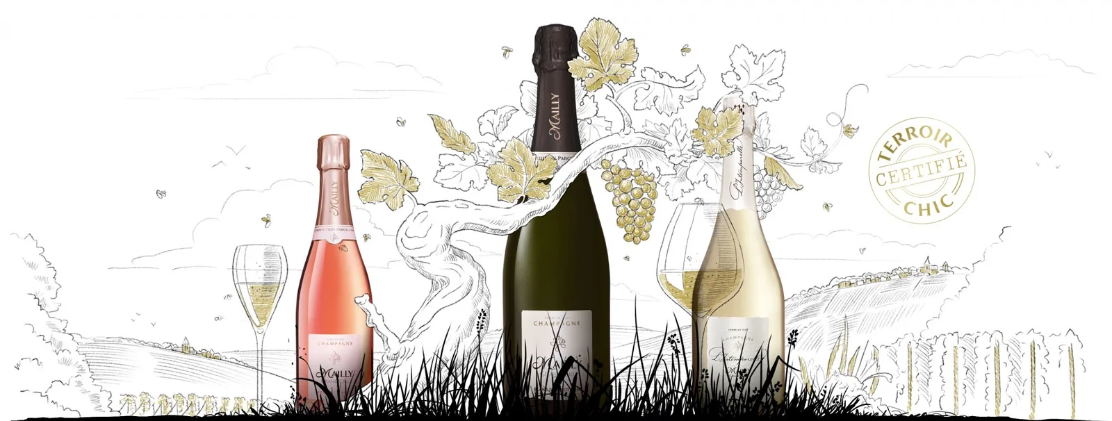 Champagne Mailly Grand Cru